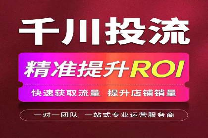 专业sem托管服务案例，揭秘广告投放优化策略